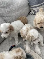 processed/b692e724-c0fe-40fa-bc52-e4ba997ad6a9/facility/b4cf0d80-985c-4df9-ad3e-864c6e5039df