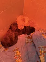 processed/b692e724-c0fe-40fa-bc52-e4ba997ad6a9/facility/bb6a27a2-1ac1-4a8e-9054-12a600787c53