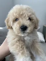 processed/b692e724-c0fe-40fa-bc52-e4ba997ad6a9/facility/c9ccc746-75fa-412f-96fd-41a92369a8f9