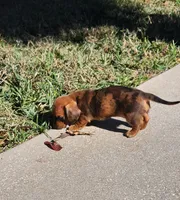 processed/b6974c75-b5dc-47a8-bf5e-cd4d86745139/listing/53f5e046-1573-4fc7-a26c-9bde152abf88/0aa32c6e-fb8b-42d7-b302-7c2f528b4bdb