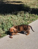 processed/b6974c75-b5dc-47a8-bf5e-cd4d86745139/listing/53f5e046-1573-4fc7-a26c-9bde152abf88/ad3b2490-bd44-42b9-958c-370057c64b3e