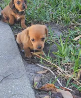 processed/b6974c75-b5dc-47a8-bf5e-cd4d86745139/listing/f96c7673-bcdf-4b06-ba26-ab6ba8cbf72e/021adfa6-c135-4053-a856-fe087c45b077