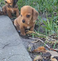 processed/b6974c75-b5dc-47a8-bf5e-cd4d86745139/listing/f96c7673-bcdf-4b06-ba26-ab6ba8cbf72e/b5131491-1bbd-4ad7-8046-1b3d7ccc2ca3