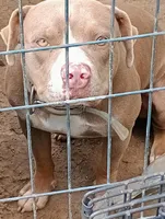 processed/b6979056-0d7b-467f-836b-0a41d6b57dc9/facility/5f214cf9-2360-4de4-b8b1-a2753db8e328