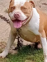 processed/b6979056-0d7b-467f-836b-0a41d6b57dc9/facility/6577f8a5-e8ae-49d0-ba75-1dd85e4b715b