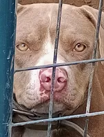 processed/b6979056-0d7b-467f-836b-0a41d6b57dc9/facility/93b33804-eafc-44cb-9413-0d5c902b8e32