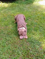 processed/b6979056-0d7b-467f-836b-0a41d6b57dc9/facility/c5ba3c16-6333-4319-be3a-5b3e230f3c92