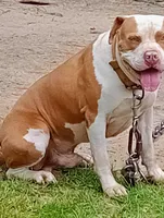 processed/b6979056-0d7b-467f-836b-0a41d6b57dc9/facility/c6b456ed-fb93-41a8-b804-20af042c029c