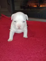 processed/b6979056-0d7b-467f-836b-0a41d6b57dc9/listing/da9a2ec2-0da3-46d4-b8ac-e5901e3154e4/50c1c2a7-fd4b-45f0-a045-0c5e7ae11c81