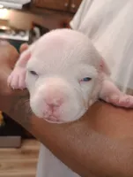 processed/b6979056-0d7b-467f-836b-0a41d6b57dc9/listing/da9a2ec2-0da3-46d4-b8ac-e5901e3154e4/c9da8c93-052e-45a1-8fac-173ed198b69b