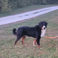 processed/b6aec04e-079a-4770-895f-36821d6e66ae/facility/22327909-e100-4d2c-a039-5faa9b12d4e8