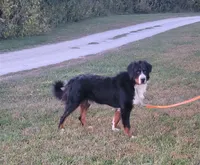 processed/b6aec04e-079a-4770-895f-36821d6e66ae/facility/22327909-e100-4d2c-a039-5faa9b12d4e8