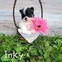 processed/b6aec04e-079a-4770-895f-36821d6e66ae/facility/65e2e036-a143-4f12-9b5d-a6102f66526f