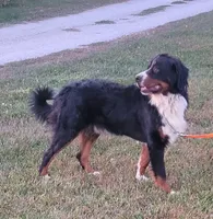 processed/b6aec04e-079a-4770-895f-36821d6e66ae/facility/787b708c-0cc4-464c-a048-d11ba6abd951