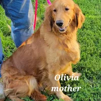 processed/b6aec04e-079a-4770-895f-36821d6e66ae/facility/7d27cb84-8a13-475c-b150-9ca66721991d