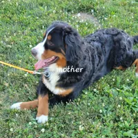 processed/b6aec04e-079a-4770-895f-36821d6e66ae/facility/8f194803-f290-46b8-bd68-46bc055b3893