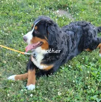 processed/b6aec04e-079a-4770-895f-36821d6e66ae/facility/8f194803-f290-46b8-bd68-46bc055b3893