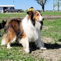 processed/b6aec04e-079a-4770-895f-36821d6e66ae/facility/97aa059a-cc83-447f-8268-05b11f9ef24c