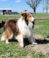 processed/b6aec04e-079a-4770-895f-36821d6e66ae/facility/97aa059a-cc83-447f-8268-05b11f9ef24c