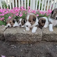 processed/b6aec04e-079a-4770-895f-36821d6e66ae/facility/fbf4d3e9-e8fd-4636-a1ac-f713cf7ebec4