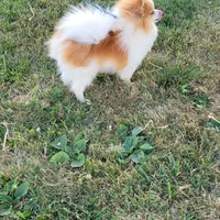 processed/b6aec04e-079a-4770-895f-36821d6e66ae/facility/ffad51b1-9f06-403d-9def-a3fdd5627a70