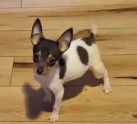 processed/b6b17ad3-14de-4adc-bd53-a1aeba7c480a/listing/04b98851-4684-4a07-91c8-162bb315bb2f/3b89fe1b-2d62-444e-b15e-ef910ed704dc