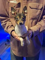 processed/b6b17ad3-14de-4adc-bd53-a1aeba7c480a/listing/04b98851-4684-4a07-91c8-162bb315bb2f/5f954906-bbd6-4fc2-ae85-60650e657669