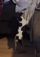 processed/b6b17ad3-14de-4adc-bd53-a1aeba7c480a/listing/04b98851-4684-4a07-91c8-162bb315bb2f/7eb1d64b-0ce0-4c9c-92a1-ab4ab25ad3ca