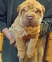 processed/b6b17ad3-14de-4adc-bd53-a1aeba7c480a/listing/14507490-0d56-4e33-a673-6331a1d610df/5601627d-5b54-4602-b27a-a6f2c79fdaba