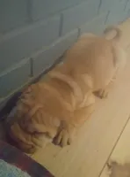 processed/b6b17ad3-14de-4adc-bd53-a1aeba7c480a/listing/14507490-0d56-4e33-a673-6331a1d610df/5e9cc6bd-408e-4f57-ac08-e923e4665e58