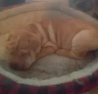 processed/b6b17ad3-14de-4adc-bd53-a1aeba7c480a/listing/14507490-0d56-4e33-a673-6331a1d610df/73d7d016-5ce4-4511-878e-a42ff12485a9