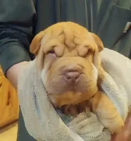 processed/b6b17ad3-14de-4adc-bd53-a1aeba7c480a/listing/14507490-0d56-4e33-a673-6331a1d610df/792d65c8-a74b-4183-b27d-a7dc208af703