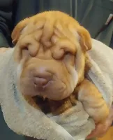 processed/b6b17ad3-14de-4adc-bd53-a1aeba7c480a/listing/14507490-0d56-4e33-a673-6331a1d610df/89b8a286-d116-491c-bc3f-7cb0243e46ee