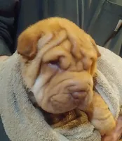 processed/b6b17ad3-14de-4adc-bd53-a1aeba7c480a/listing/14507490-0d56-4e33-a673-6331a1d610df/ba597b80-0f0b-478a-bb2d-f0db1bfe676c