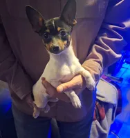 processed/b6b17ad3-14de-4adc-bd53-a1aeba7c480a/listing/296804c0-bef1-49b1-8028-107fc6a2b5da/4a3c1a98-163a-4558-bd38-97baaf2296a3