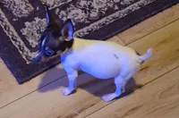 processed/b6b17ad3-14de-4adc-bd53-a1aeba7c480a/listing/296804c0-bef1-49b1-8028-107fc6a2b5da/92d0833a-678e-4031-9d1c-7afa09ad37f1