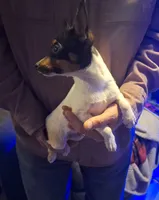 processed/b6b17ad3-14de-4adc-bd53-a1aeba7c480a/listing/296804c0-bef1-49b1-8028-107fc6a2b5da/c4ccaea4-3d7d-411c-947e-6655f8f900ba