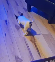 processed/b6b17ad3-14de-4adc-bd53-a1aeba7c480a/listing/296804c0-bef1-49b1-8028-107fc6a2b5da/cd3973c6-ee4b-4ec3-ab17-e9789798574b