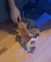 processed/b6b17ad3-14de-4adc-bd53-a1aeba7c480a/listing/6f0ce7fc-0773-432f-a628-15324ad96cb0/3ec51b12-728e-434a-9232-a814cdfef72e