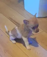 processed/b6b17ad3-14de-4adc-bd53-a1aeba7c480a/listing/6f0ce7fc-0773-432f-a628-15324ad96cb0/428a0c69-ccd4-48c1-b5cd-f765d4a3d306