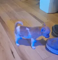 processed/b6b17ad3-14de-4adc-bd53-a1aeba7c480a/listing/6f0ce7fc-0773-432f-a628-15324ad96cb0/86ad996e-373b-4b71-823b-ec19f8a0c253