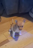 processed/b6b17ad3-14de-4adc-bd53-a1aeba7c480a/listing/6f0ce7fc-0773-432f-a628-15324ad96cb0/f517dff1-d2c3-4806-bcfd-371fd4ec4c80