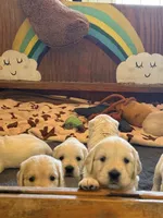 Facility photo