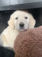 processed/b6b4b301-ad4a-4a38-b9c6-1d8058df5bde/listing/89423244-dcdd-4c7f-aa01-840d6cfd9d25/034eff2d-eb08-436f-9927-0c72fd254118