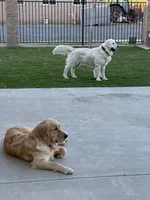 processed/b6b4b301-ad4a-4a38-b9c6-1d8058df5bde/listing/89423244-dcdd-4c7f-aa01-840d6cfd9d25/2c51d48f-8bf5-418a-9124-104f701b739f