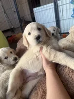 processed/b6b4b301-ad4a-4a38-b9c6-1d8058df5bde/listing/89423244-dcdd-4c7f-aa01-840d6cfd9d25/41b10676-b849-4bfe-a358-0c53fdeb3d15