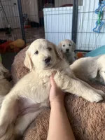 processed/b6b4b301-ad4a-4a38-b9c6-1d8058df5bde/listing/89423244-dcdd-4c7f-aa01-840d6cfd9d25/bfffc5dd-e5b0-4cf7-bd5c-00c2ab4d8af2