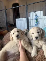 processed/b6b4b301-ad4a-4a38-b9c6-1d8058df5bde/listing/89423244-dcdd-4c7f-aa01-840d6cfd9d25/ce38964d-76e2-46af-8ea9-35cad61a6daa