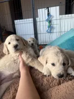 processed/b6b4b301-ad4a-4a38-b9c6-1d8058df5bde/listing/89423244-dcdd-4c7f-aa01-840d6cfd9d25/ea624624-e7b2-4d09-88f8-fceffd75c6ea