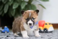 processed/b6c02ef9-7021-4ee1-ac22-ec5a33c84260/listing/66e04e3a-c93b-4d7f-96d4-0eddd76d2847/1dc5e4ed-e7dd-41dd-8264-259224b2d6ce